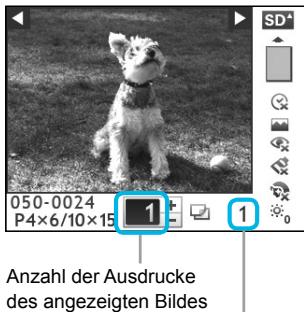 CANON SELPHY CP800 - Setzen Sie eine Speicherkarte in den Kartensteckplatz ein. - 2