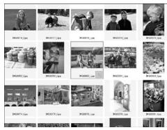 CANON SELPHY CP900 - Printing Images from Your Computer - 1