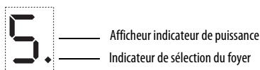 WHIRLPOOL ACM801NE, ACM804NE - Activation et réglage du foyer - 1