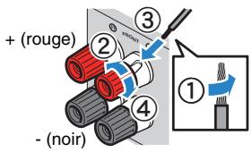 YAMAHA RX-V773 - Raccordement des cables d'enceinte - 1