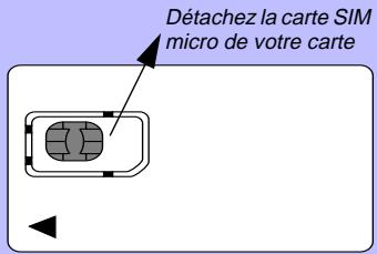 PHILIPS SAVY - La carte SIM micro - 1
