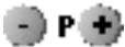 PHILIPS 14PT1574-00C - Gebruik van de afstandsbediening - 12