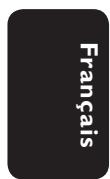 PHILIPS DVP3142 - Connexions facultatives - 1