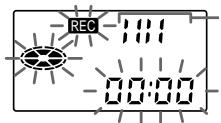 REC 1:11 00:00