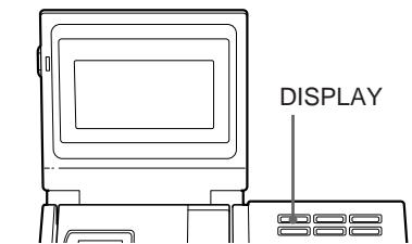 DISPLAY