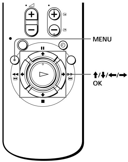 SONY SLV-SE70EG - Changing the station names - 1