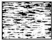 SONY SLV-SE740G - Symptoms caused by contaminated video heads - 4