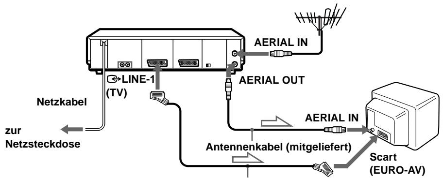 SONY SLV-SF900D - Anschließen an Ihr Fernsehgerät mit einem Scart (EURO-AV)- Kabel - 1