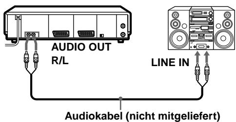SONY SLV-SF900D - An eine Stereoanlage - 1