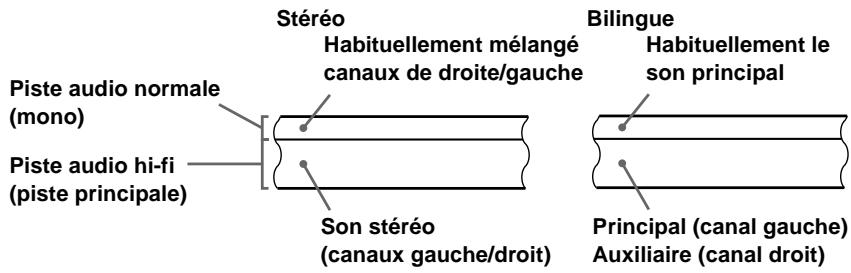 Stéréo Habituellement mélangé canaux de droite/gauche Piste audio normale (mono) Piste audio hi-fi (piste principale) Son stéréo (canaux gauche/droit) Bilingue Habituellement le son principal Principal (canal gauche) Auxiliaire (canal droit)