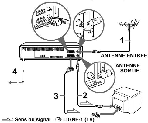 ANTENNE ENTREE ANTENNE SORTIE : Sens du signal LIGNE-1 (TV)