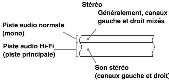 SONY SLV-SX737D - Comment est enregistré le son sur une cassette vidéo - 1