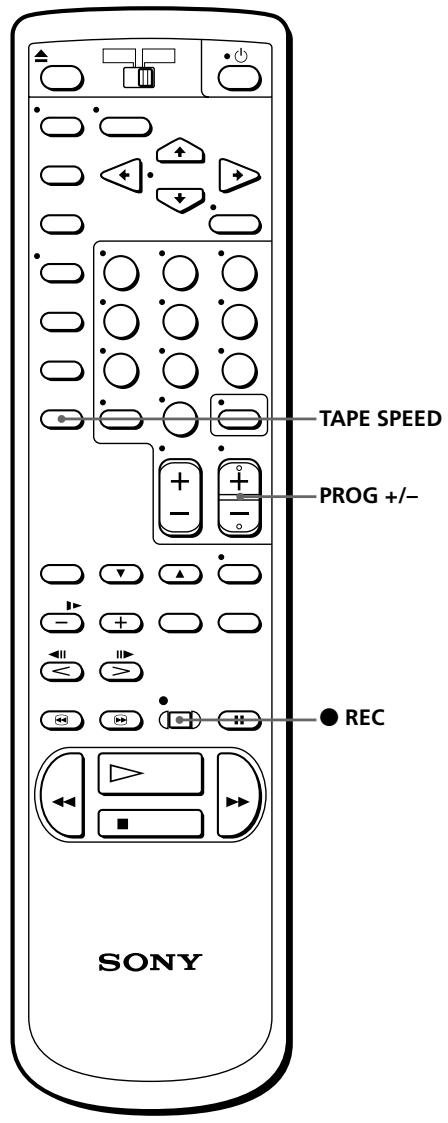 TAPE SPEED PROG +/- REC SONY