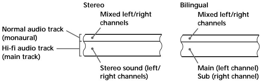 Stereo Mixed left/right channels Normal audio track (monaural) Hi-fi audio track (main track) Stereo sound (left/ right channels) Bilingual Mixed left/right channels Main (left channel) Sub (right channel)