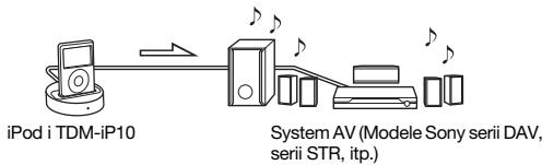 SONY TDM-IP10 - Opis ogólny - 1