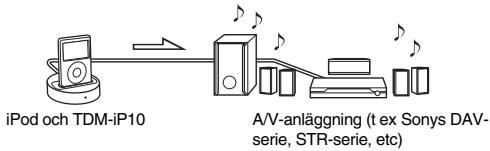 SONY TDM-IP10 - Ytterligare information - 1