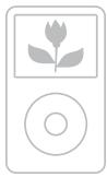 SONY TDM-IP10 - Modelli di iPod compatibili - 3