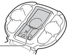 SONY RDP-NWR100 - 不防水区域 - 1