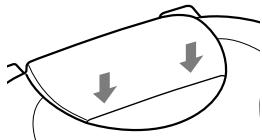 SONY RDP-NWR100 - S延德三为 - 2