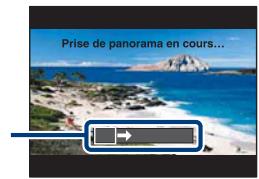 SONY CYBER-SHOT DSC-HX1 - Panorama par balayage - 1