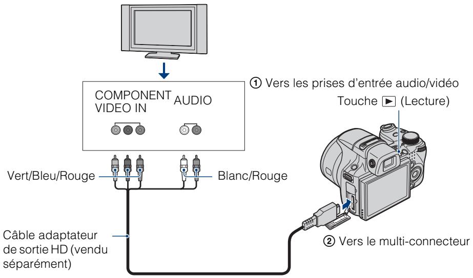 SONY CYBER-SHOT DSC-HX1 - Visualisation d'une image en raccordant l'appareil à un téléviseur HD (haute définition) à l'aide du câble adaptateur de sortie HD (vendu séparément) - 1