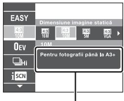 SONY CYBER-SHOT DSC-HX9 - Prezentarea alter functorii - 2