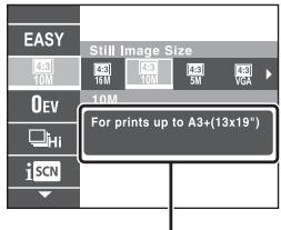 SONY CYBER-SHOT DSC-HX9 - Introduction of other functions - 2