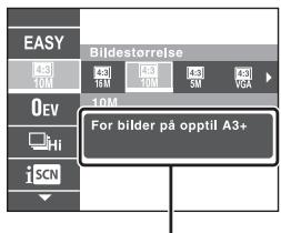 SONY CYBER-SHOT DSC-HX9 - Introduksjon til andre funksjoner - 2