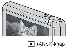 SONY CYBER-SHOT DSC-T110D - Optagelse af film - 2