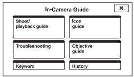 SONY CYBER-SHOT DSC-T110D - In-Camera Guide - 2
