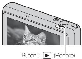SONY CYBER-SHOT DSC-T110D - Apasati butonul (Redare). - 1