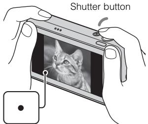 SONY CYBER-SHOT DSC-T110D - Press the shutter button halfway down to focus. - 1