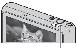 SONY CYBER-SHOT DSC-T110D - Premere il tastingo (Riproduzione). - 1