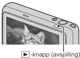 SONY CYBER-SHOT DSC-T110D - Trykk på -knappen (avspilling). - 1