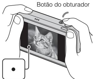 SONY CYBER-SHOT DSC-T110D - Fotografia imagens fixas - 3