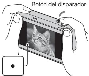 SONY CYBER-SHOT DSC-T110D - Pulse el botón del disparador hasta la mitad para enfocar. - 1