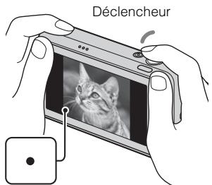 SONY CYBER-SHOT DSC-T110D - Prise de vue d'images fixes - 3