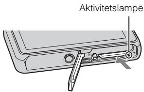 SONY CYBER-SHOT DSC-T110D - Sādan tages hukommelseskortet ud - 1