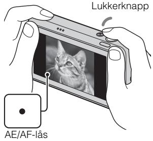 SONY CYBER-SHOT DSC-T110D - Trykk lukkerknappen halvweis ned for a fokusere. - 1
