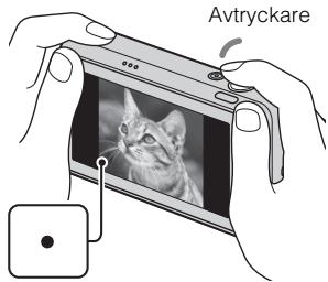 SONY CYBER-SHOT DSC-T110D - For att ställa in datumet och klockanigen - 3