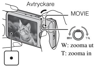 SONY CYBER-SHOT DSC-WX9 - Tagning av stillbilder/inspelning av filmer - 2