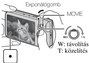 SONY CYBER-SHOT DSC-WX9 - Fényképek és mozkókepek késztipse - 2