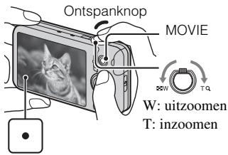 SONY CYBER-SHOT DSC-WX9 - Stilstaande beelden/bewegende beelden opnemen - 2