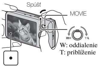SONY CYBER-SHOT DSC-WX9 - Snímanie-statickycháberova videoozáznamov - 2