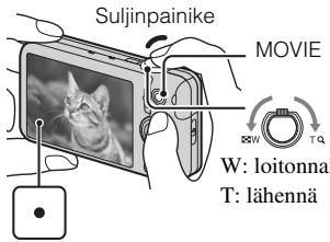 SONY CYBER-SHOT DSC-WX9 - Valokuvien tai videoiden ottaminen - 2