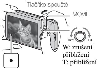 SONY CYBER-SHOT DSC-WX9 - Snímáni statickych snímkú/videooklipu - 2