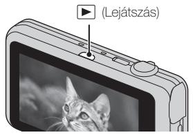 (Lejátszás)