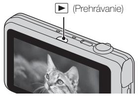 (Prehrávanie)