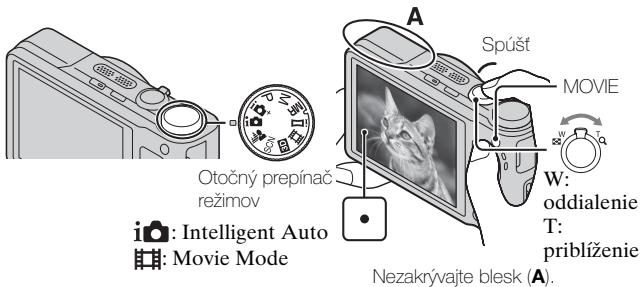 SONY CYBER-SHOT DSC-HX9 - Snímanie-statickycháberova videoozáznamov - 1