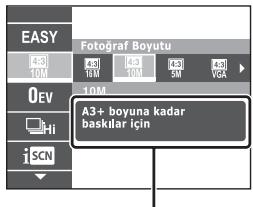 SONY CYBER-SHOT DSC-HX9 - Diger islevlerin tanitimi - 2